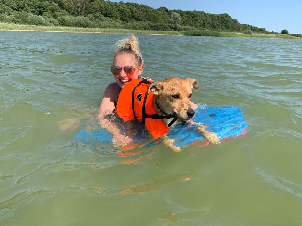 Abenteuer auf dem Wasser mit Hund